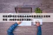柑橘苗移栽后管理技术有哪些要求和方法视频教程（柑橘移栽后多久施肥）