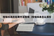 柑橘枝条的处理方法视频（柑橘枝条怎么保存）