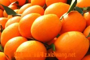 脐橙的副作用与禁忌(脐橙的副作用与禁忌)