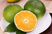 柑橘管理技术方法（柑橘全年管理技术及农药使用）
