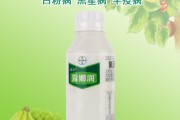 柑橘白粉病培养基培养方法有哪些(柑橘溃疡病防治方法)