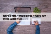 四川甘平柑橘产地在哪里啊图片及价格大全（甘平柑橘种植技术）
