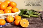 涌泉蜜桔最正宗(涌泉蜜桔的味道以及口感)