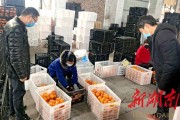 柑橘栽培技术员岗位职责内容（目前越来越多的农民开始买粮食吃）