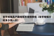 甘平柑橘高产栽培技术视频教程（甘平柑橘介绍多少钱一斤）