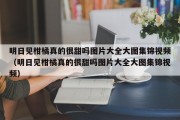 明日见柑橘真的很甜吗图片大全大图集锦视频（明日见柑橘真的很甜吗图片大全大图集锦视频）