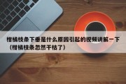 柑橘枝条下垂是什么原因引起的视频讲解一下（柑橘枝条忽然干枯了）