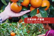 091沃柑全年怎样管理的简单介绍