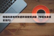 柑橘枝条如何快速转绿视频讲解（柑橘枝条修剪技巧）