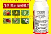 用什么配方杀柑橘红蜘蛛效果好些(杀柑橘红蜘蛛药配方)
