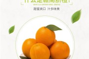 赣南脐橙是哪里的特产(赣南脐橙是哪里的特产品种)