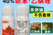 柑橘红蜘蛛杀卵特效药(柑桔红蜘蛛危害果实)