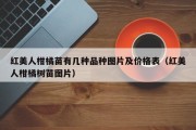 红美人柑橘苗有几种品种图片及价格表（红美人柑橘树苗图片）