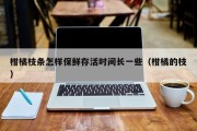 柑橘枝条怎样保鲜存活时间长一些（柑橘的枝）