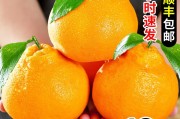 耙耙柑怎么念是橘子么(耙耙柑怎么读音是什么意思)