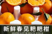 四川的耙耙柑是橘子吗(四川耙耙柑介绍)