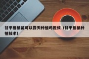 甘平柑橘苗可以露天种植吗视频（甘平柑橘种植技术）