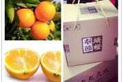 脐橙姿势图解大全(脐橙姿势图解大全图片)