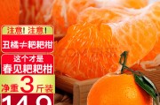 春见青见丑橘耙耙柑(春见耙耙柑区别)