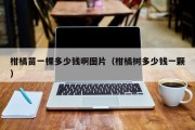 柑橘苗一棵多少钱啊图片（柑橘树多少钱一颗）