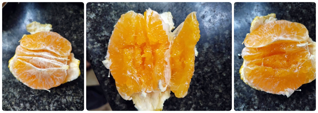 爱媛153-一款比爱媛38更早熟的新品种，究竟长啥样？ 柑橘百科 第4张
