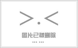 广州蜜柚