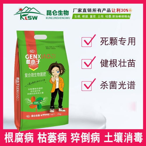 柑橘全年打药工具