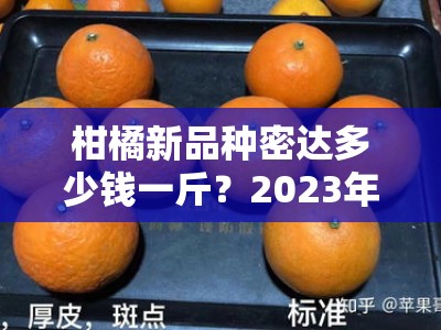 柑橘新品种密达多少钱一斤？2023年市场行情与产地价格深度解析