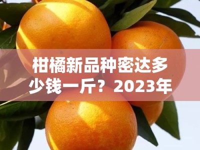 柑橘新品种密达多少钱一斤？2023年市场行情与产地价格深度解析