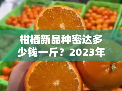 柑橘新品种密达多少钱一斤？2023年市场行情与产地价格深度解析