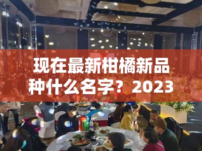 现在最新柑橘新品种什么名字？2023年热门柑橘品种盘点及命名解析