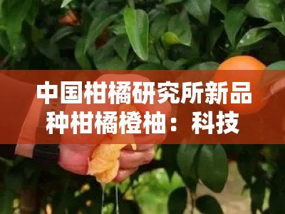 中国柑橘研究所新品种柑橘橙柚：科技创新引领柑橘产业升级