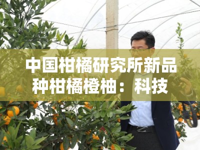 中国柑橘研究所新品种柑橘橙柚：科技创新引领柑橘产业升级