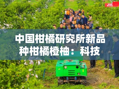 中国柑橘研究所新品种柑橘橙柚：科技创新引领柑橘产业升级