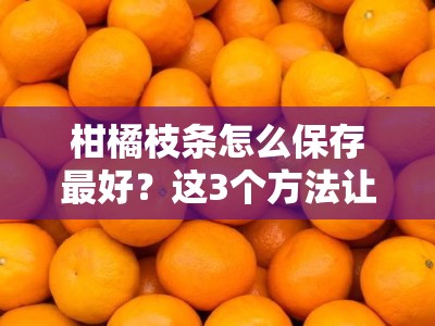 柑橘枝条怎么保存最好？这3个方法让保鲜效果更持久