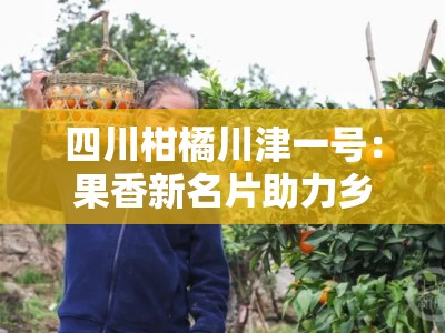 四川柑橘川津一号：果香新名片助力乡村振兴与助农增收