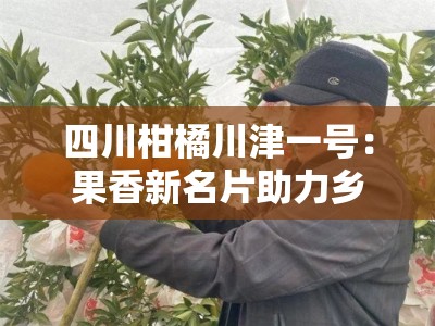 四川柑橘川津一号：果香新名片助力乡村振兴与助农增收