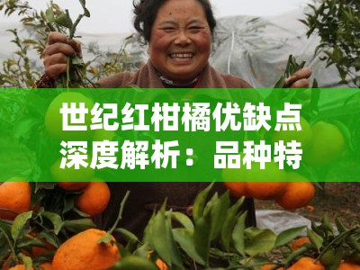 世纪红柑橘优缺点深度解析：品种特性与栽培挑战全览