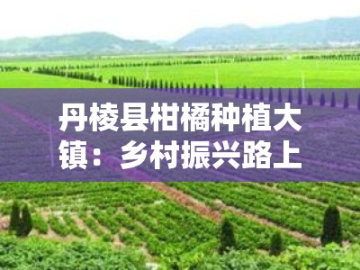 丹棱县柑橘种植大镇：乡村振兴路上的金色产业标杆