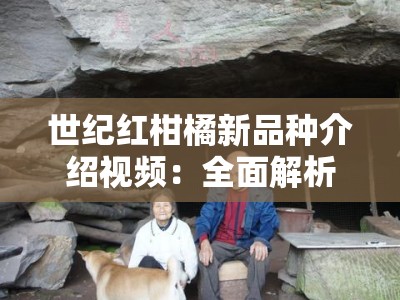 世纪红柑橘新品种介绍视频：全面解析栽培技术与市场前景