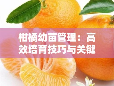 柑橘幼苗管理：高效培育技巧与关键期养护要点解析