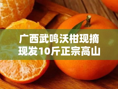 广西武鸣沃柑现摘现发10斤正宗高山新鲜水果 自然熟甜橙当季果园直供
