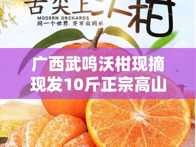广西武鸣沃柑现摘现发10斤正宗高山新鲜水果 自然熟甜橙当季果园直供