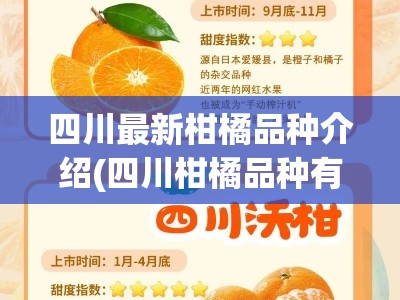 四川最新柑橘品种介绍(四川柑橘品种有哪些)