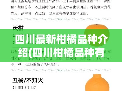 四川最新柑橘品种介绍(四川柑橘品种有哪些)