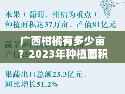 广西柑橘有多少亩？2023年种植面积现状与产量分析