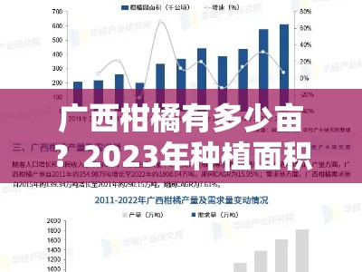 广西柑橘有多少亩？2023年种植面积现状与产量分析