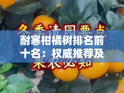 耐寒柑橘树排名前十名：权威推荐及冬季种植必看指南