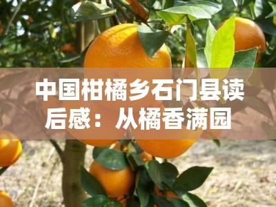 中国柑橘乡石门县读后感：从橘香满园看乡村振兴的生态画卷