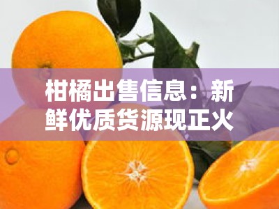 柑橘出售信息:新鲜优质货源现正火热销售中
